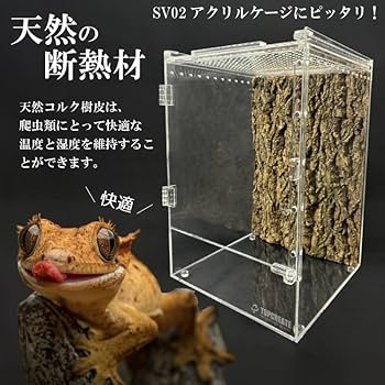 Amazon | 爬虫類 アクリルケージ用 天然コルク樹皮バックパネル